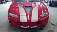 Decal  Installation strips